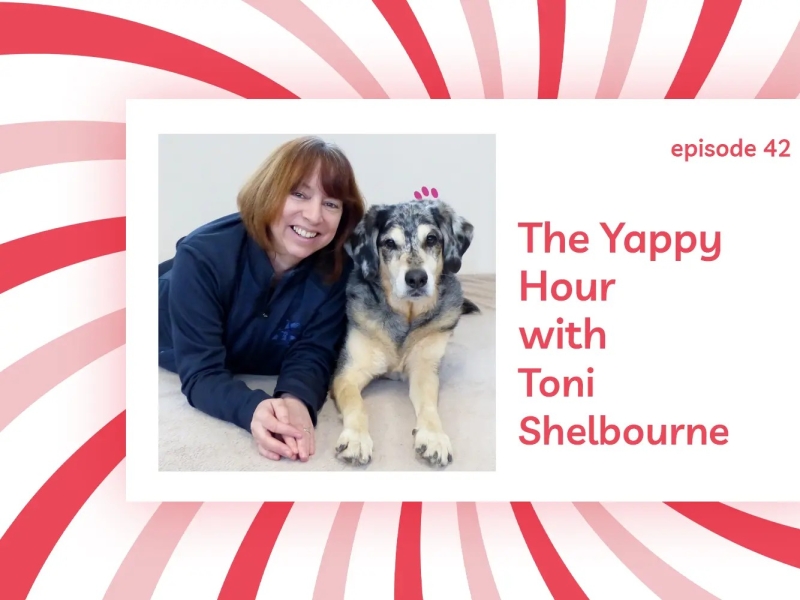 Podcast - TTouch for Anxious Dogs
