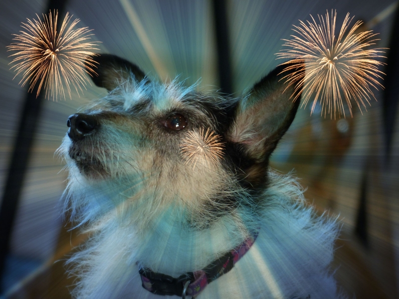 FIREWORKS!
